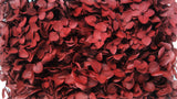 Preserved hydrangea Anna - 1 head - Burgundy