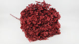 Preserved hydrangea Anna - 1 head - Burgundy