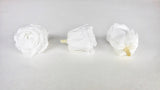 Rose stabilizzate Kiara 5 cm - 8 pezzi - Bianco puro