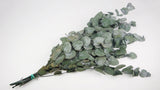 Preserved eucalyptus Spiral - 1 bunch - Green