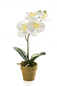 Orchidee künstlich -  1 Topf - Creme