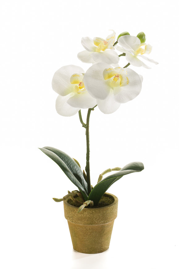 Artificial orchid - 1 pot - Creme