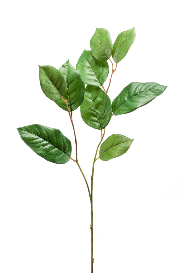 Salal artificiel - 1 branche - Vert