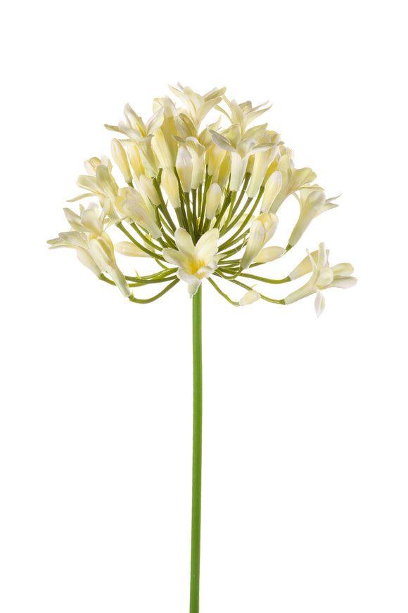 Agapanthe artificielle - 1 tige - Crème