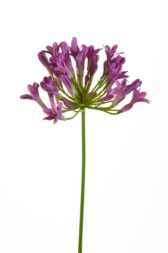 Agapanthe artificielle - 1 tige - Lilas