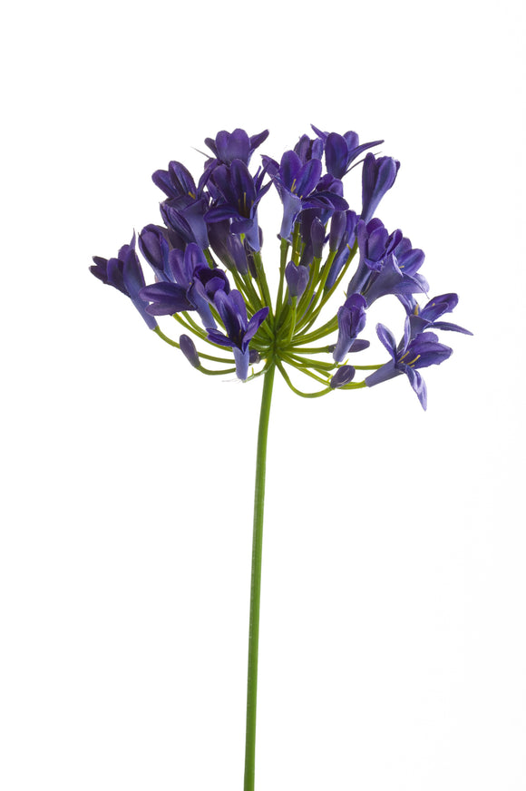 Agapanthe artificielle - 1 tige - Violet foncé