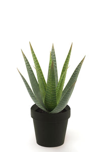 Aloe vera artificiale - 1 vaso - Verde
