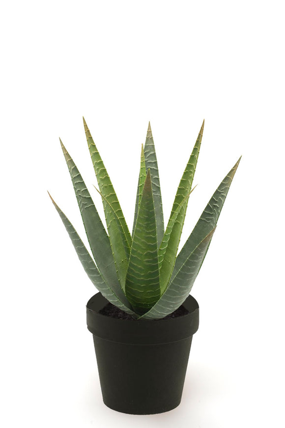 Aloe vera artificiale - 1 vaso - Verde