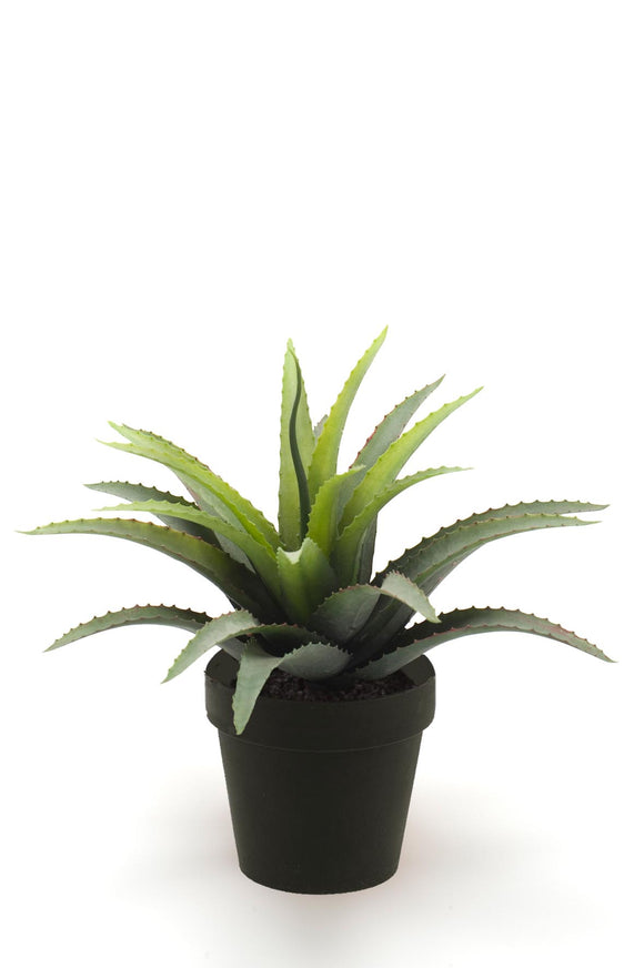 Agave artificielle - 1 pot - Vert