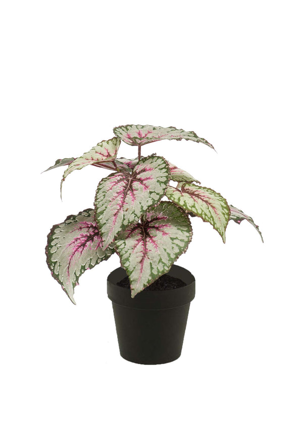 Begonia artificiale con foglie - 1 vaso - verde/grigio/rosa