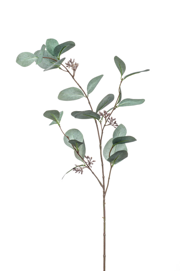 Eucalyptus Populus avec fruits artificiel - 1 branche - Vert-gris