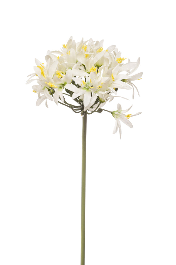 Agapanthus artificiale - 1 stelo - bianco
