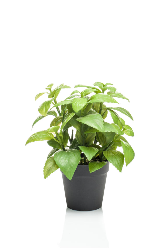 Basilic artificiel - 1 pot - Vert