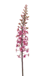 Candela Steppe artificiale - 1 stelo - rosso fucsia