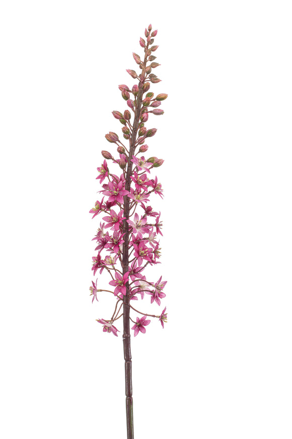 Candela Steppe artificiale - 1 stelo - rosso fucsia