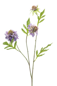 Scabiosa artificiale - 1 stelo - Viola