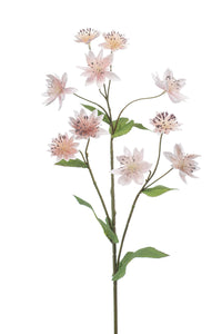 Astrantia artificiale - 1 stelo - rosa chiaro