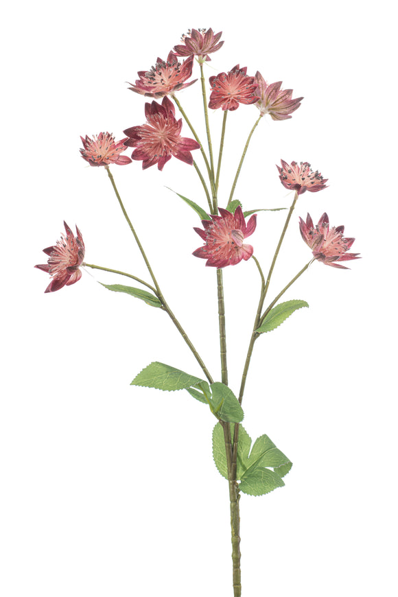 Astrantia artificiale - 1 stelo - rosa scuro