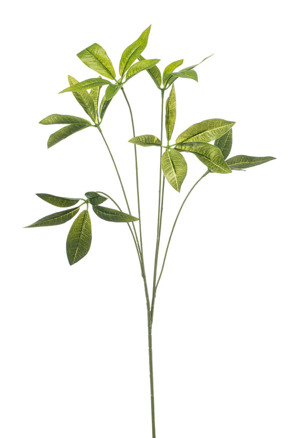 Pachira artificiel - 1 branche - Vert
