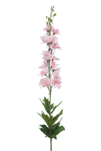 Delphinium artificiale - 1 stelo - rosa