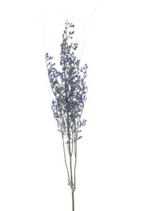Limonium artificiale - 1 stelo - Viola scuro