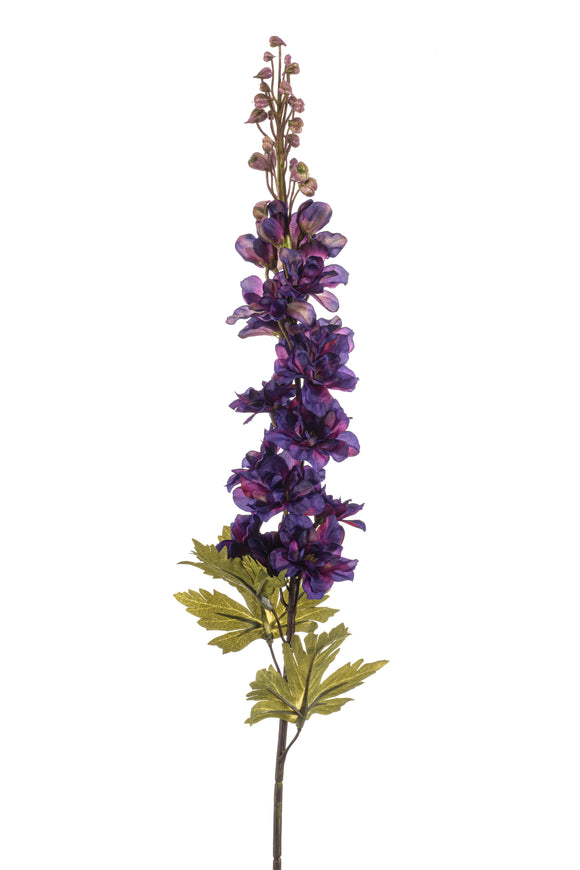 Delphinium artificiale - 1 stelo - viola