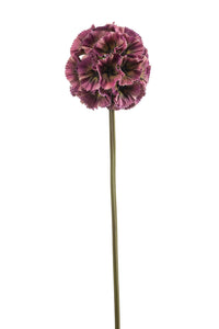 Scabiosa artificiale - 1 stelo - Rosso fucsia