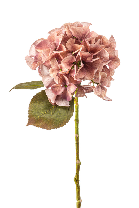 Ortensia artificiale - 1 testa - rosa vintage