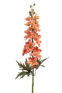Delphinium artificiale - 1 stelo - Arancione