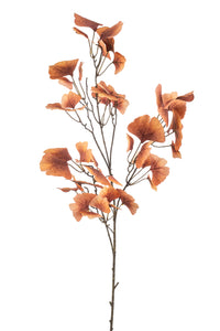 Ginkgo artificiale - 1 ramo - Corallo