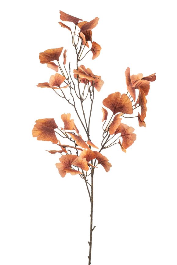 Ginkgo artificiale - 1 ramo - Corallo