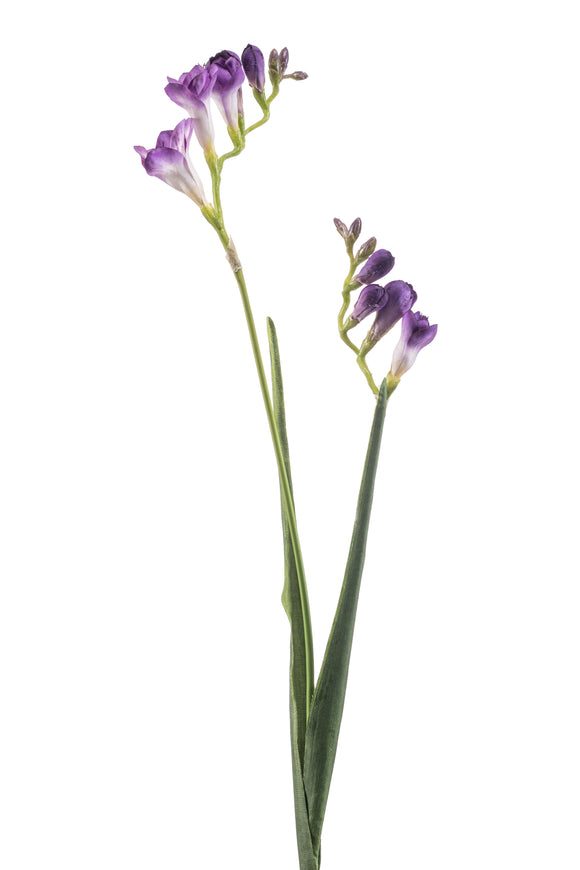 Freesias artificiels - 1 tige - Violet
