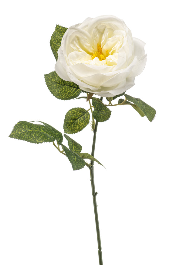Rose anglaise artificielle - 1 tige - Blanc