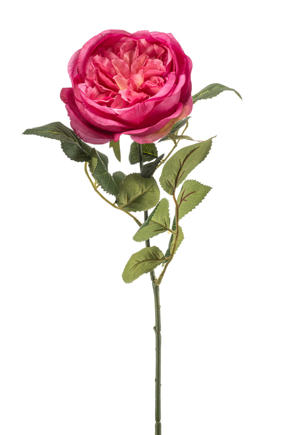 Rose anglaise artificielle - 1 tige - Fuchsia