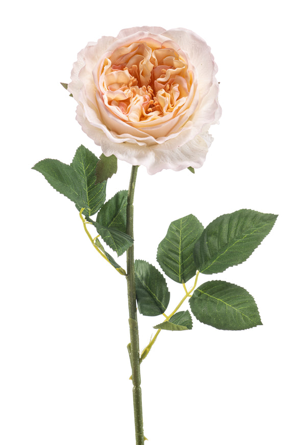 Rose anglaise artificielle - 1 tige - Pêche