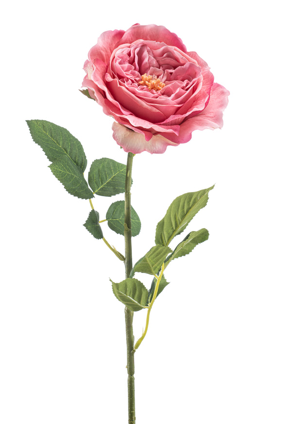 Rose anglaise artificielle - 1 tige - Rose