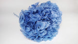 Ortensia Conservata Extra - 1 Testa - Blu