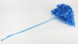 Ortensia Conservata Anna - 1 Testa - Blu