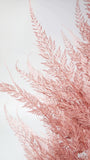 Fern Snowflake preservado - 10 tallos - Blush