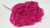 Hortensia stabilisé Anna - 1 tête - Fuchsia