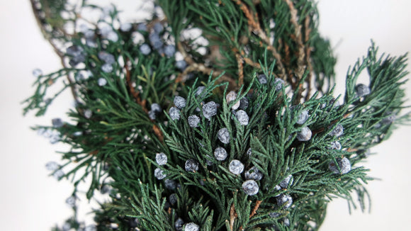 Juniper Preserves Earth Matters - 1 mazzo - Verde 700