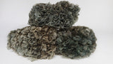 Ortensia stabilizzata Extra - 1 Testa - Grigio