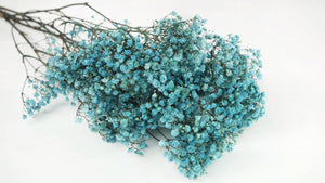 Gypsophila stabilizzata - 1 mazzo - celeste