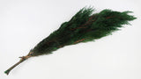 Cypress Hiba conserva Earth Matters - 2 pezzi - Verde 700