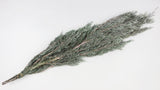 Cypress Hiba Earth Matters preservato - 2 pezzi - Wash white 012