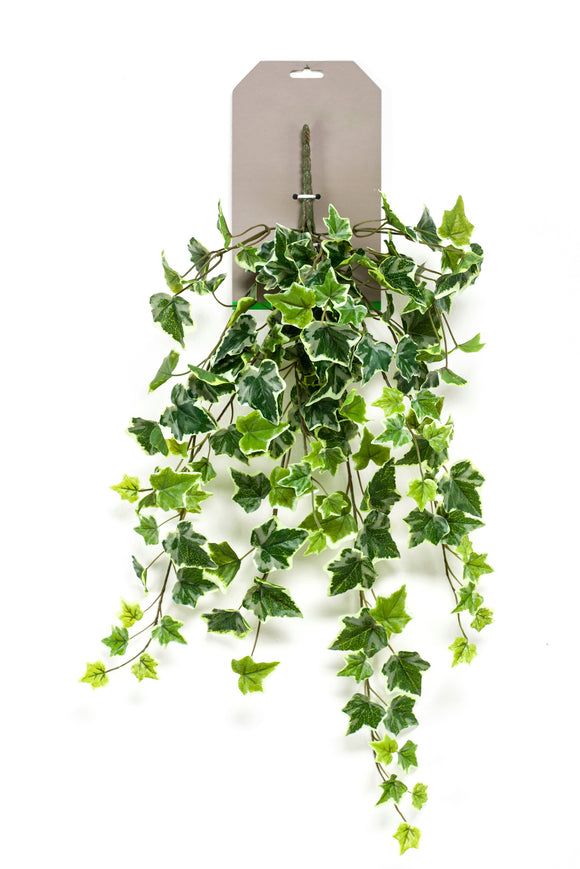 Lierre retombant artificiel 70 cm - 1 piquet - Panaché vert / blanc