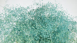 Gypsophila Mini stabilizzata - 1 mazzo - azzurro
