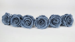 Rose stabilizzate Kiara 6 cm - 6 pezzi - Night Shadow