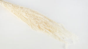 Agrostis nebulosa essiccato - 1 mazzetto - Bianco
