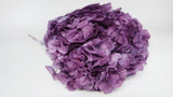 Ortensia Stabilizzata Extra - 1 Testa - Viola
